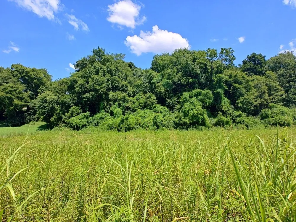 72 Espalier Drive Decatur, TN 37322