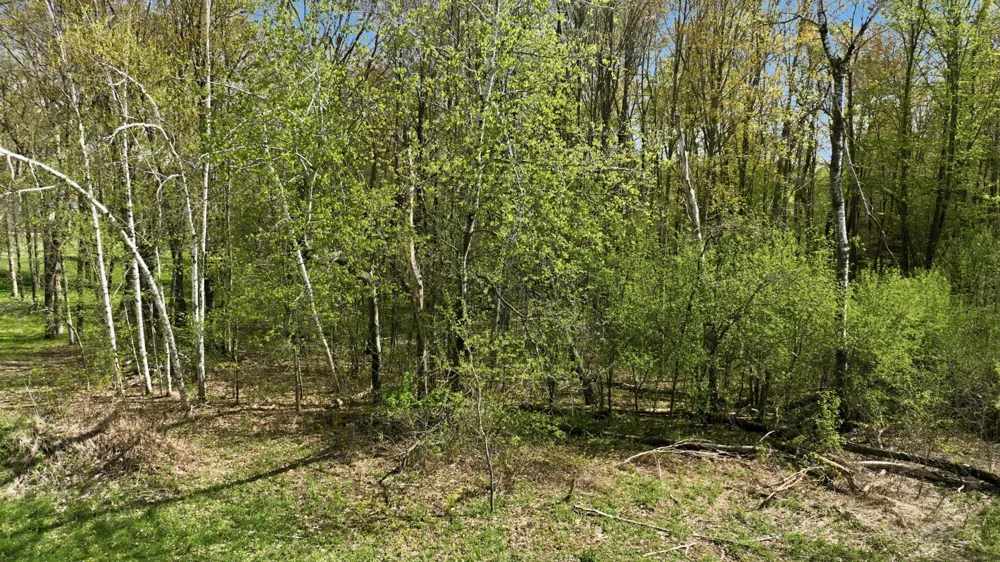 3.419 Acres 10th Avenue Chetek, WI 54728