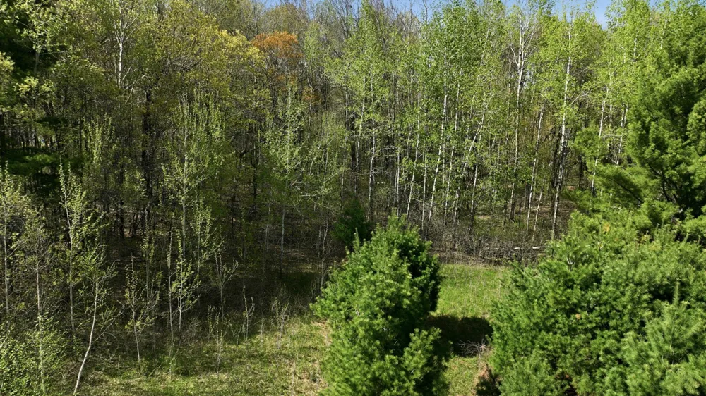 3.419 Acres 10th Avenue Chetek, WI 54728