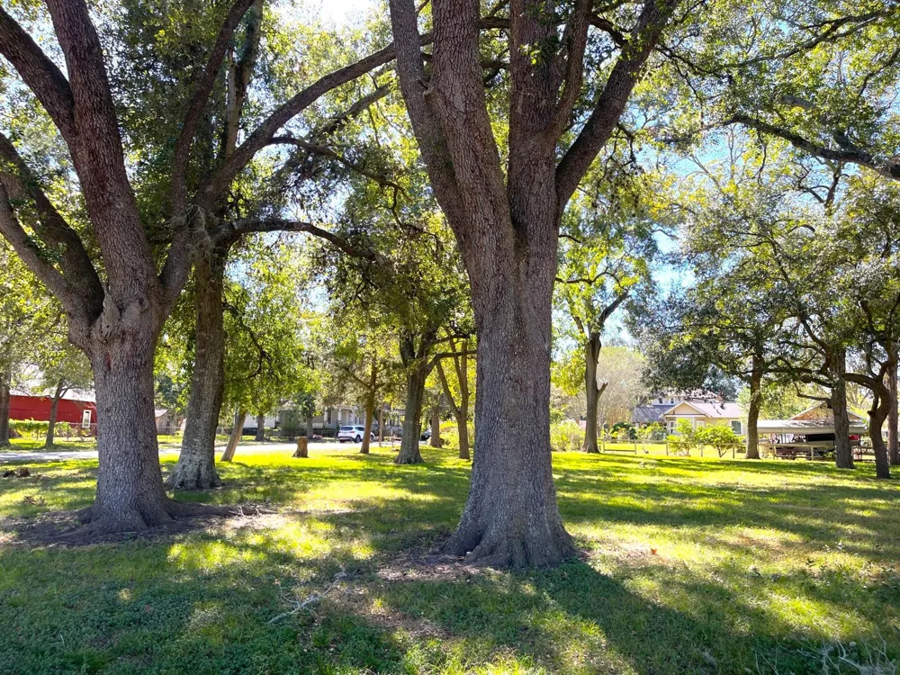6211 Gresham Street Wallis, TX 77485