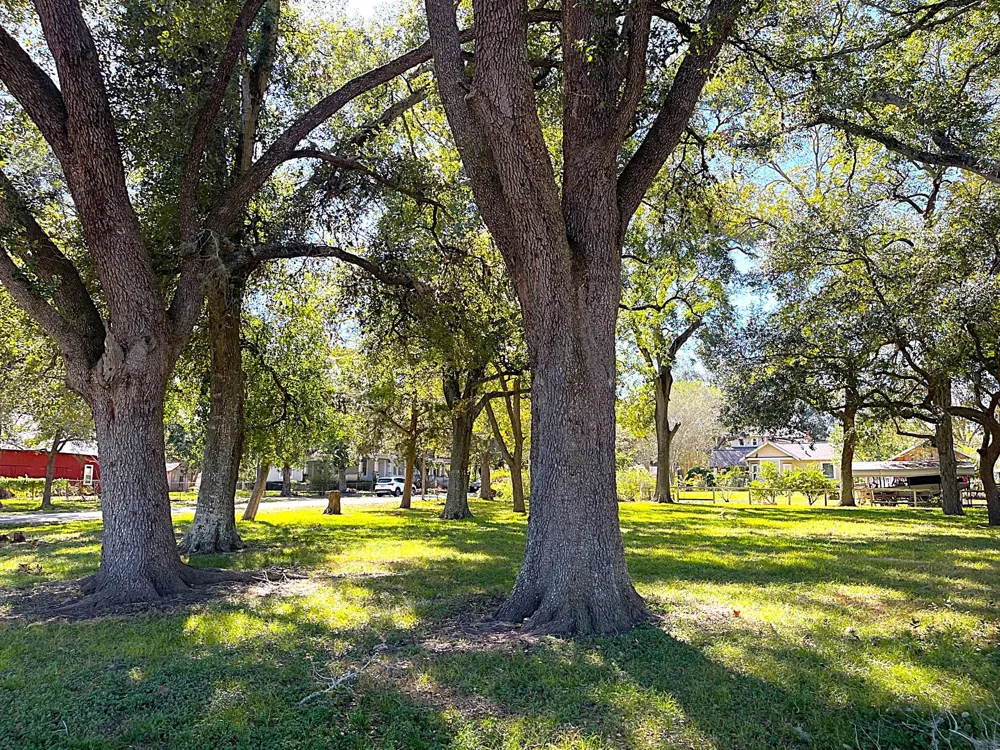 6211 Gresham Street Wallis, TX 77485