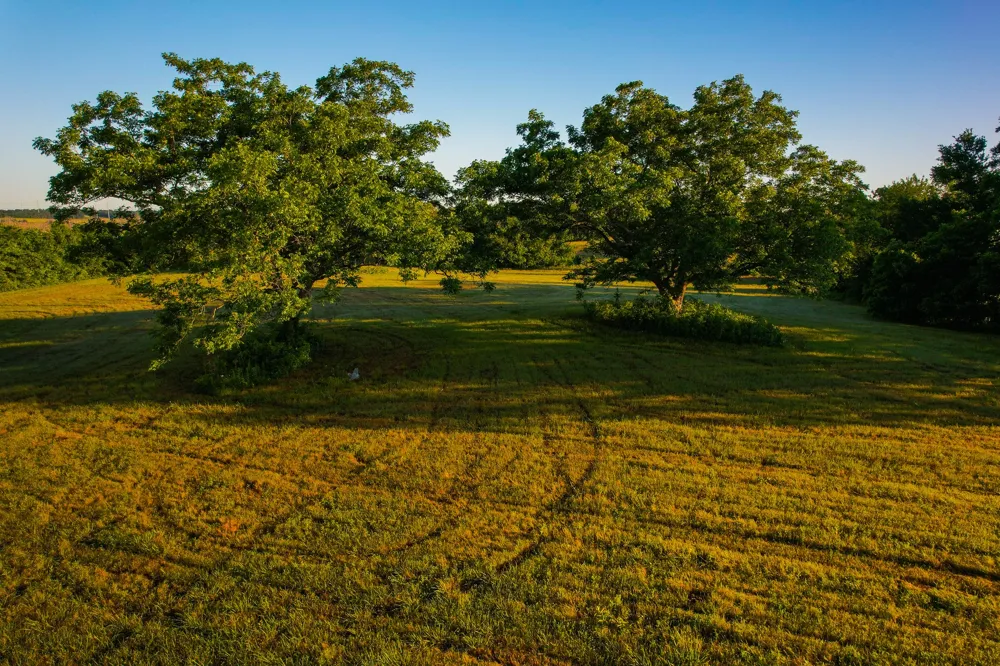 2000 County Road 2950 Dodd City, TX 75438