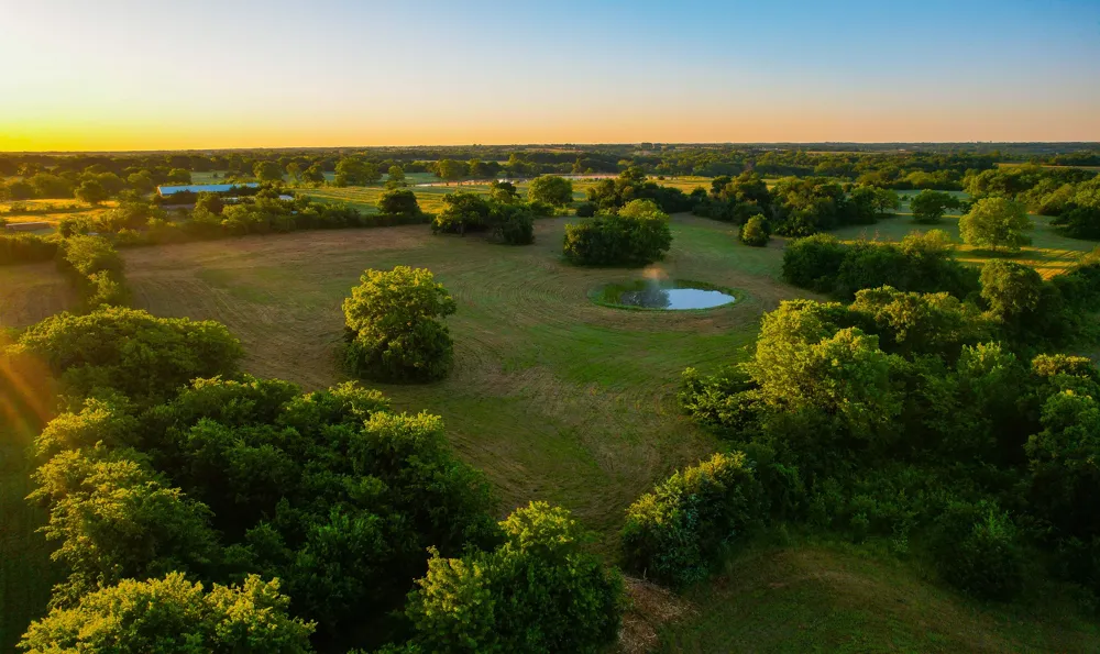 2000 County Road 2950 Dodd City, TX 75438