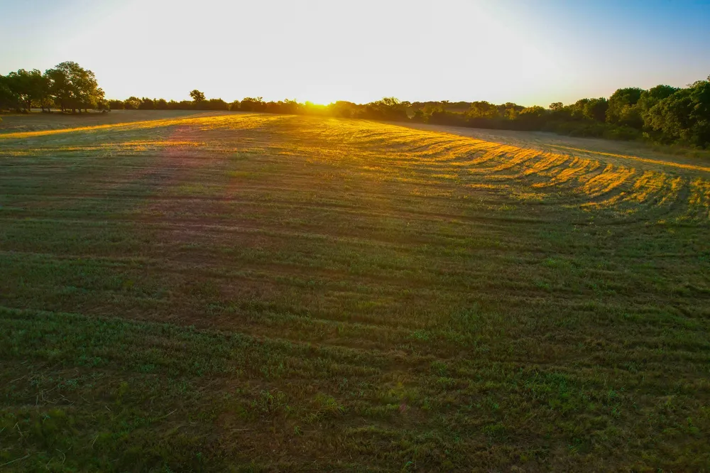 2000 County Road 2950 Dodd City, TX 75438