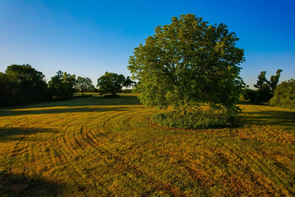 2000 County Road 2950 Dodd City, TX 75438