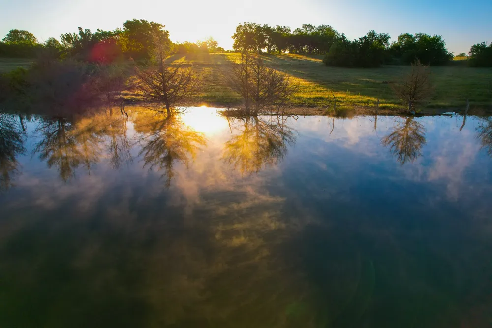 2000 County Road 2950 Dodd City, TX 75438