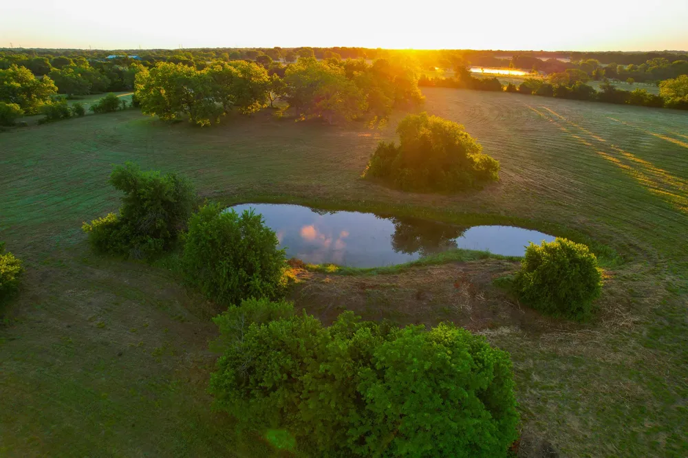 2000 County Road 2950 Dodd City, TX 75438