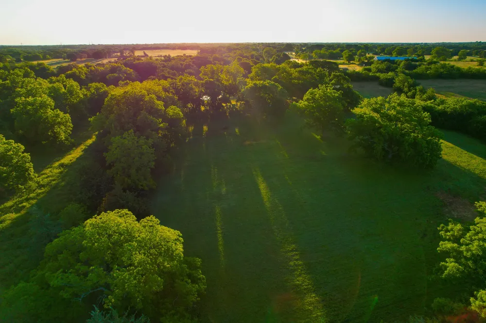 2000 County Road 2950 Dodd City, TX 75438