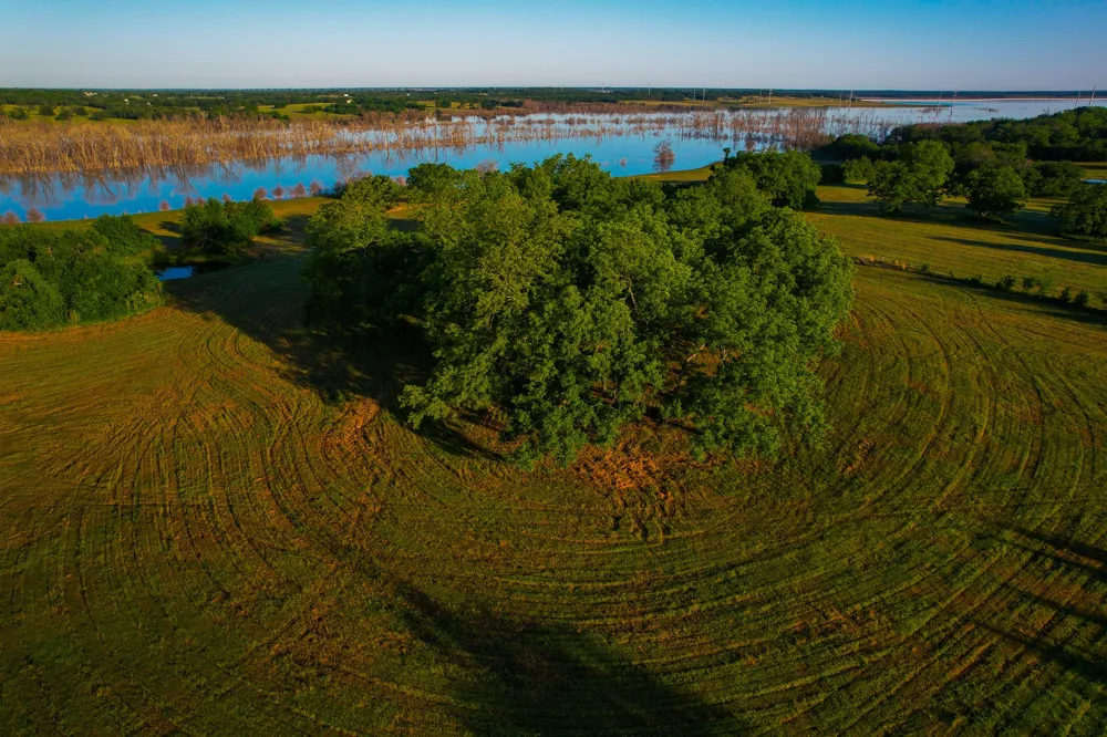 2000 County Road 2950 Dodd City, TX 75438