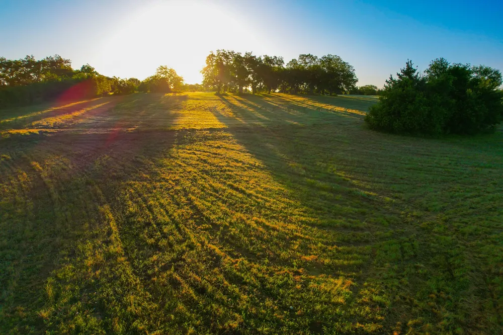 2000 County Road 2950 Dodd City, TX 75438