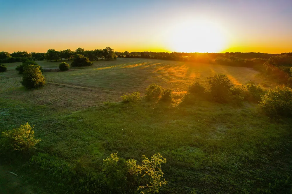 2000 County Road 2950 Dodd City, TX 75438