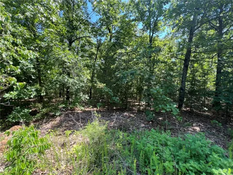 Saddle View Drive