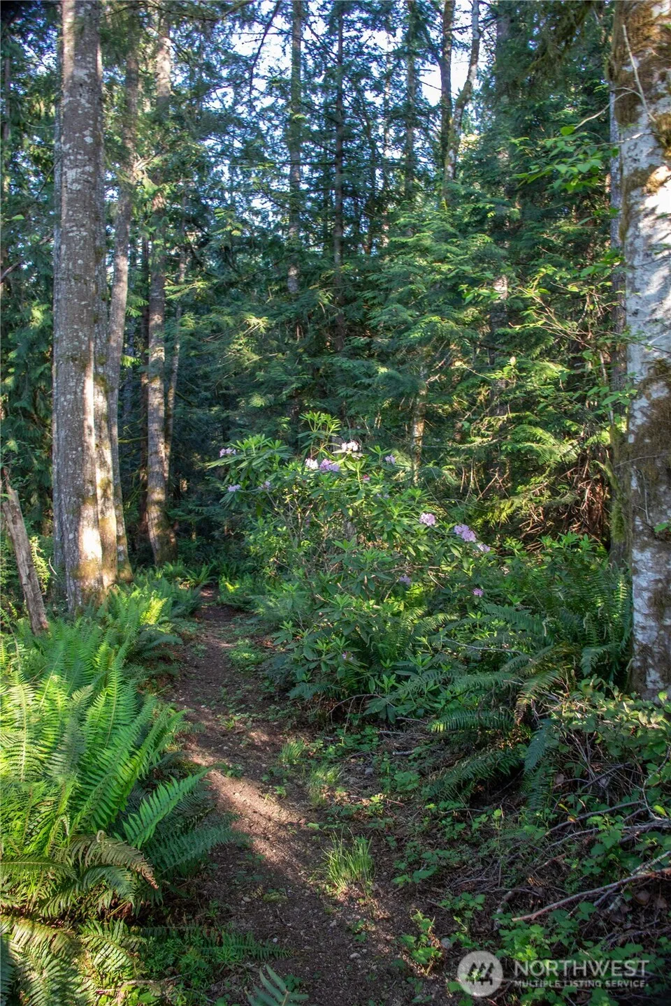 3021 NW Beth Lane Poulsbo, WA 98370