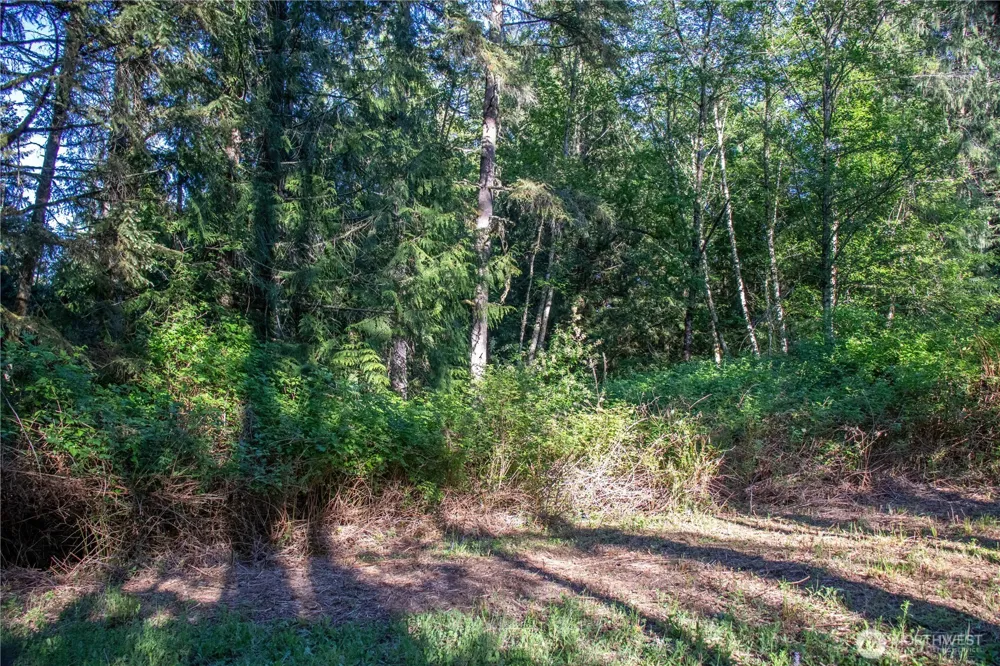 3021 NW Beth Lane Poulsbo, WA 98370
