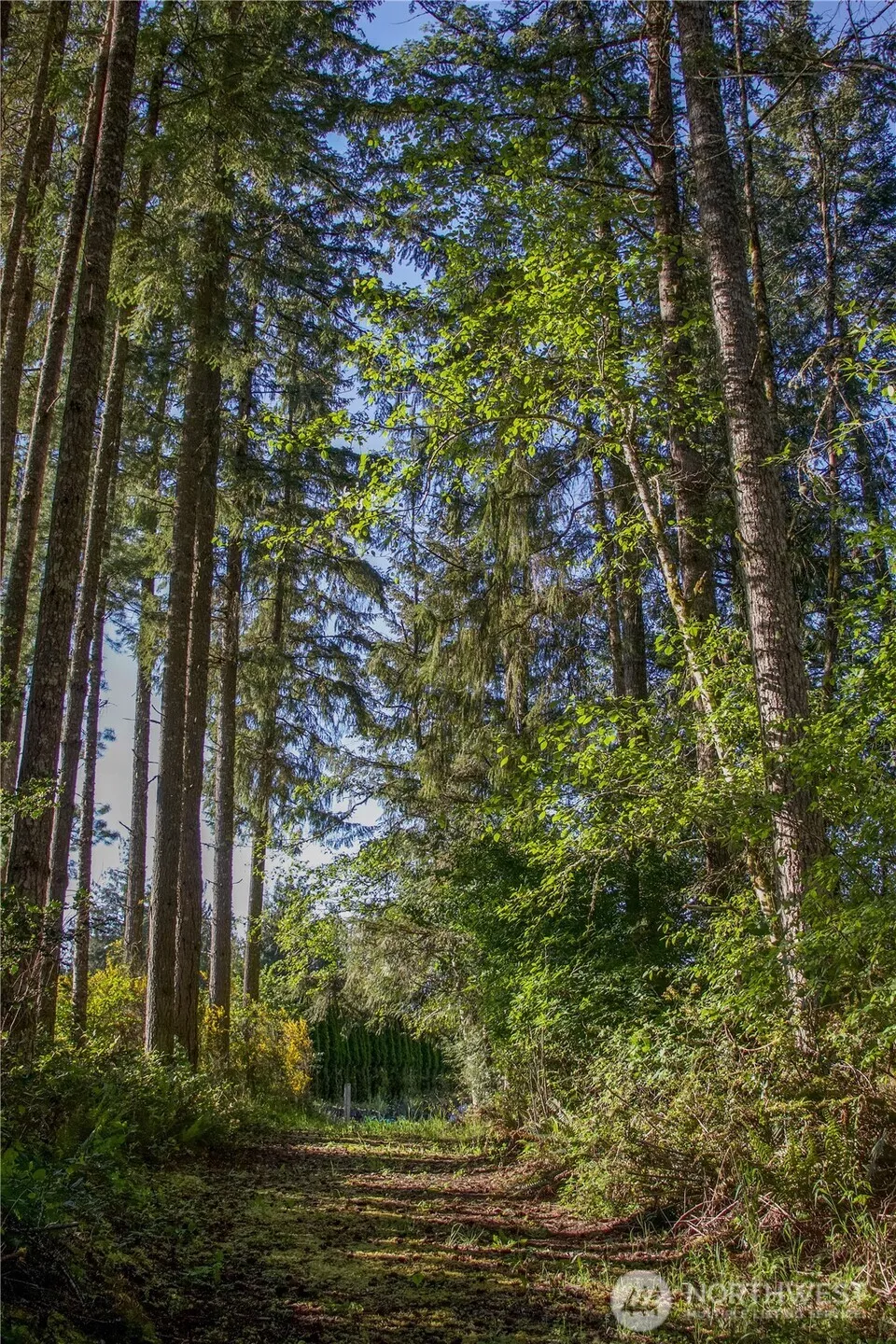 3021 NW Beth Lane Poulsbo, WA 98370