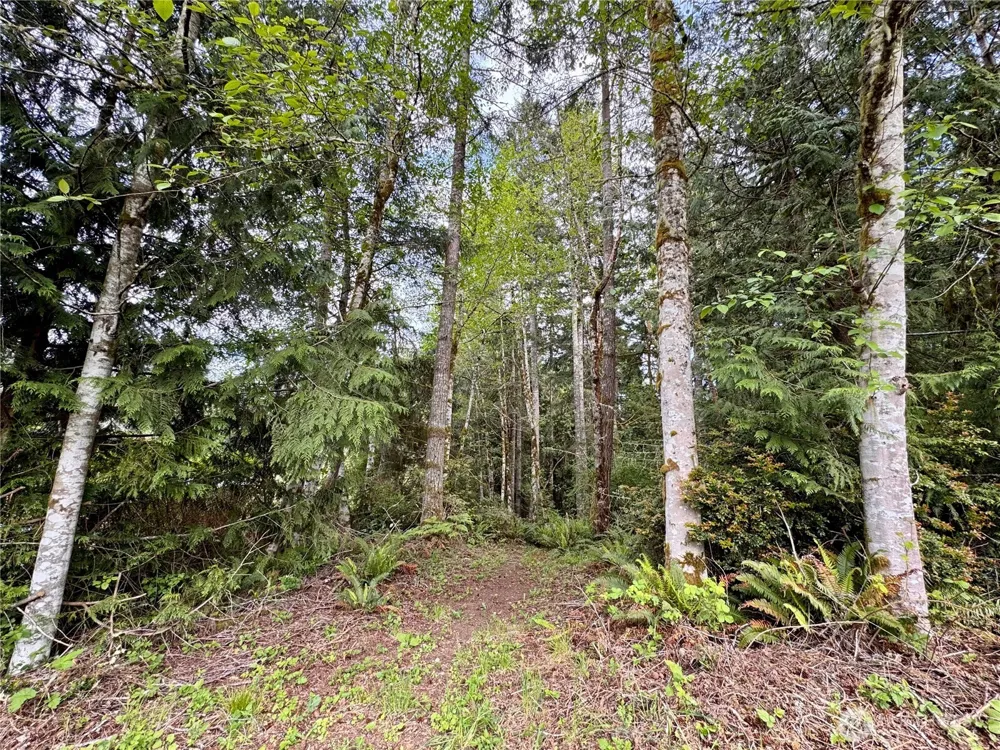 3021 NW Beth Lane Poulsbo, WA 98370