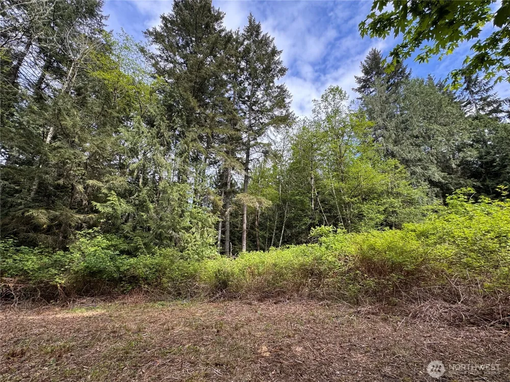 3021 NW Beth Lane Poulsbo, WA 98370