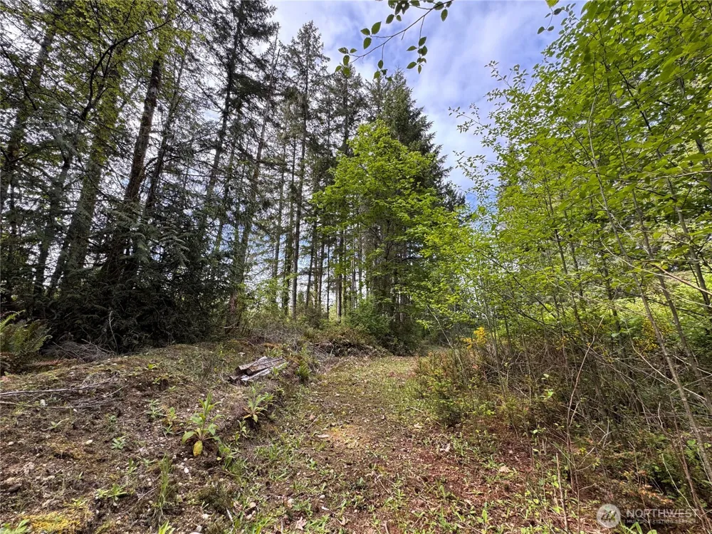 3021 NW Beth Lane Poulsbo, WA 98370