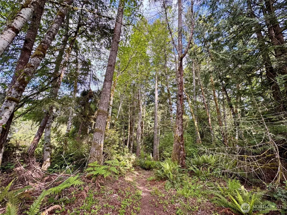 3021 NW Beth Lane Poulsbo, WA 98370