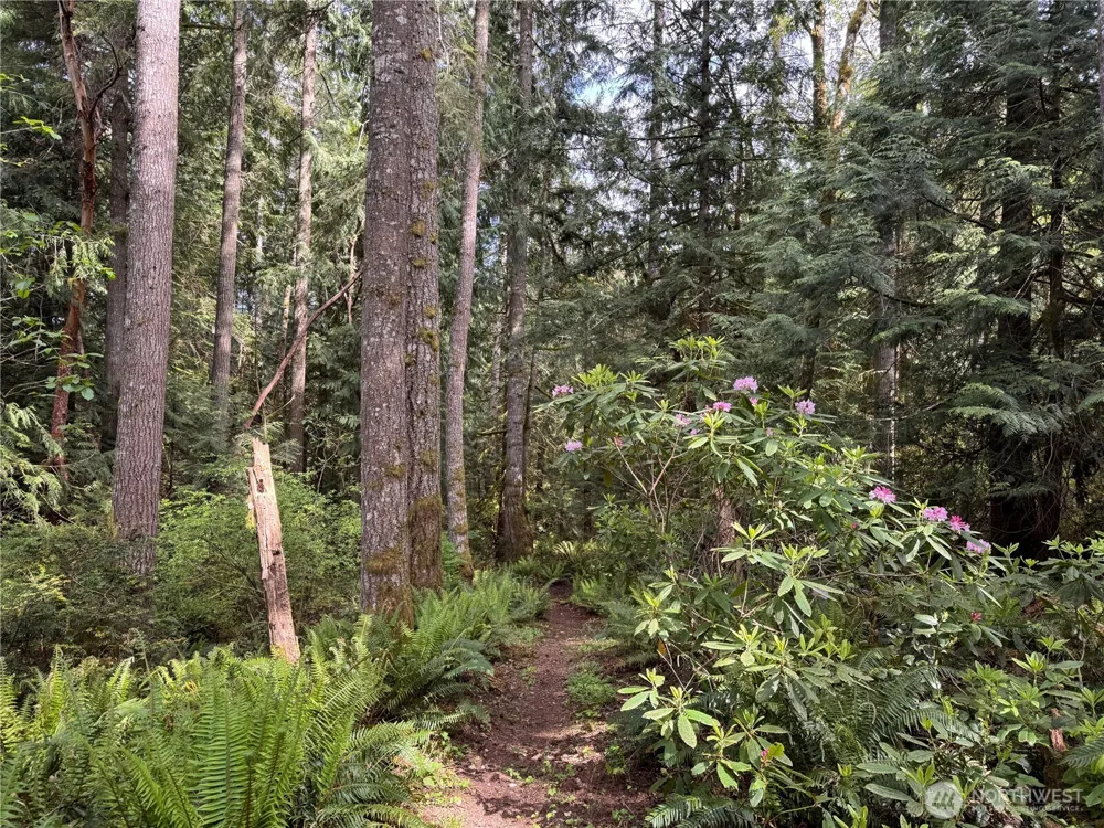 3021 NW Beth Lane Poulsbo, WA 98370