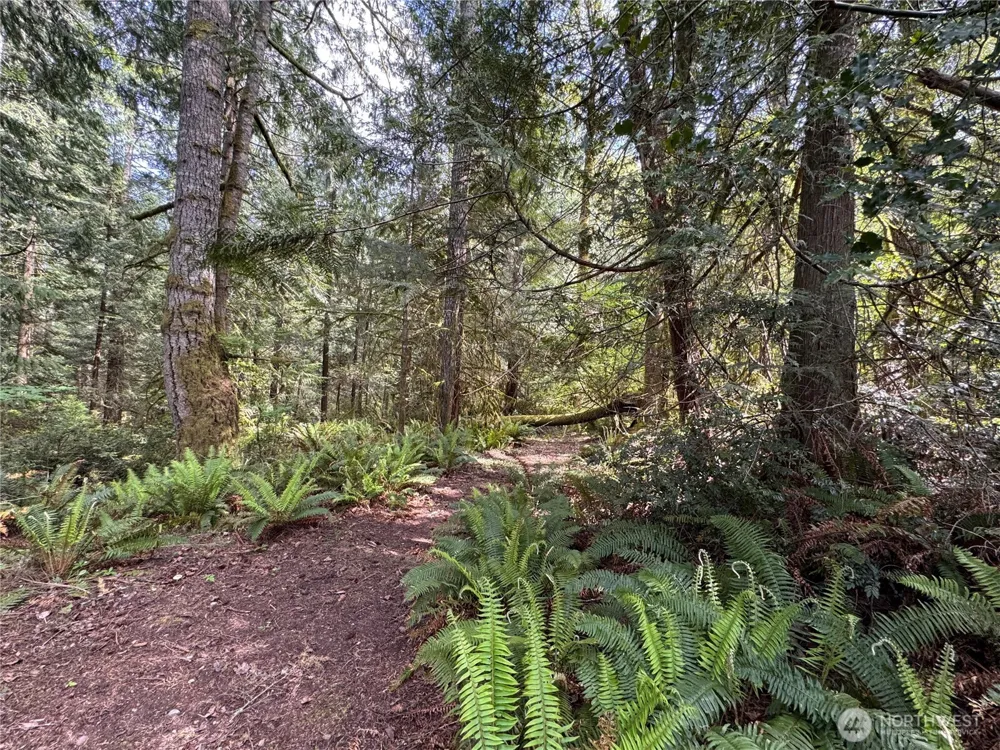 3021 NW Beth Lane Poulsbo, WA 98370