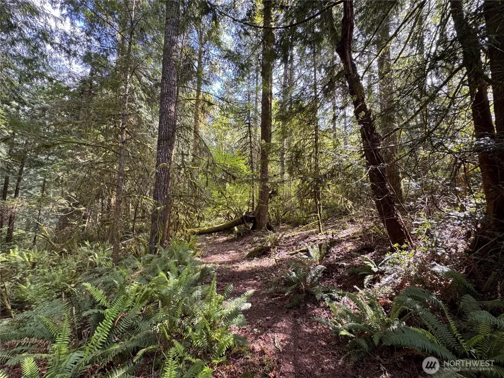 3021 NW Beth Lane Poulsbo, WA 98370