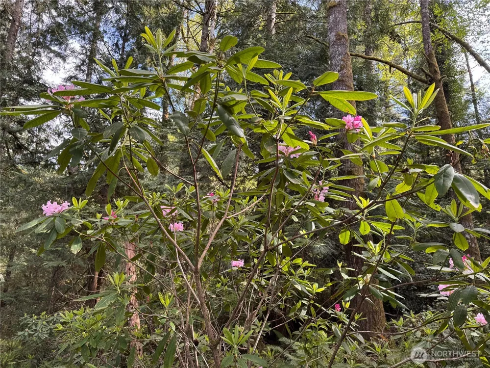 3021 NW Beth Lane Poulsbo, WA 98370