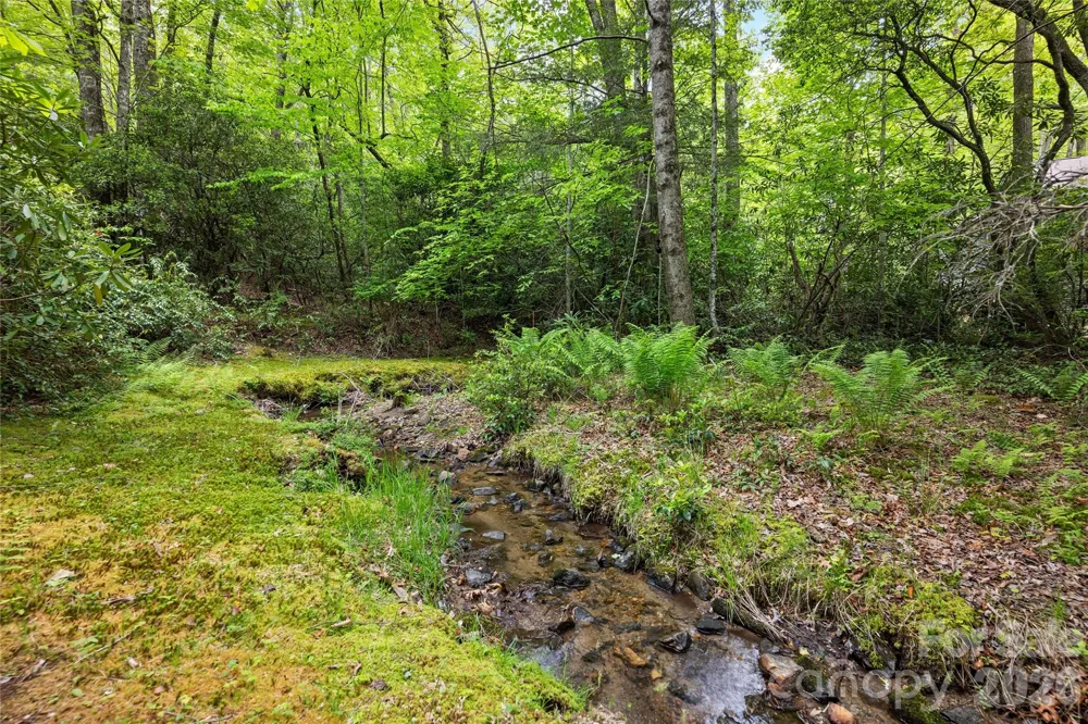 560 Toxaway Court Lake Toxaway, NC 28747