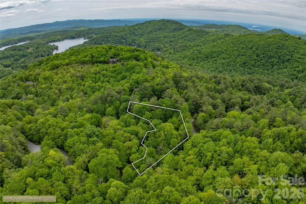 560 Toxaway Court Lake Toxaway, NC 28747