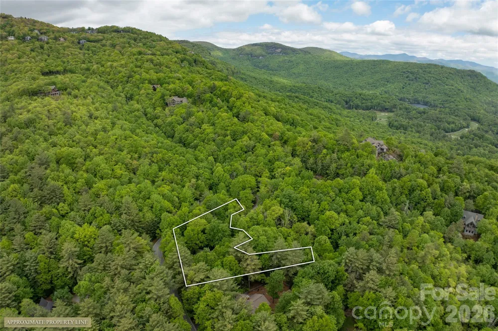 560 Toxaway Court Lake Toxaway, NC 28747