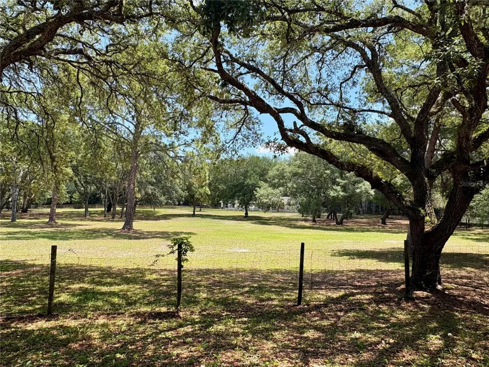390 FOOTHILL FARMS ROAD Orange City, FL 32763
