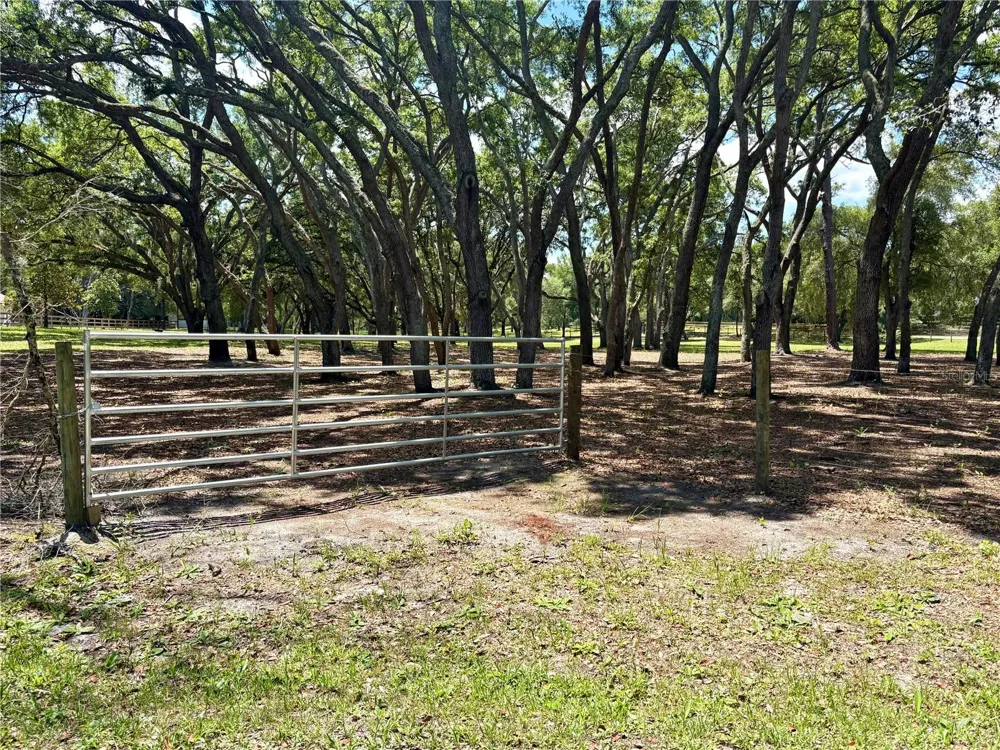 390 FOOTHILL FARMS ROAD Orange City, FL 32763