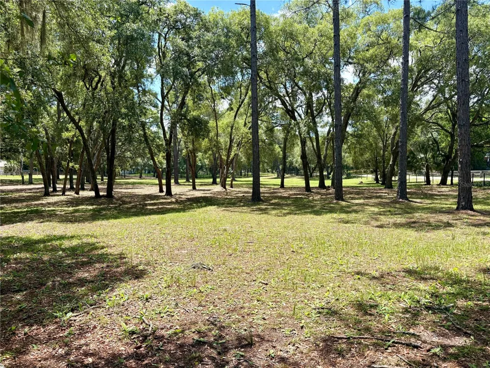390 FOOTHILL FARMS ROAD Orange City, FL 32763