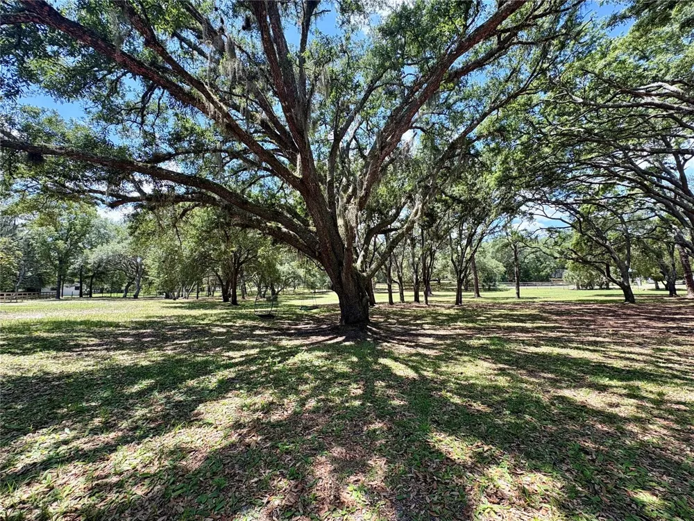 390 FOOTHILL FARMS ROAD Orange City, FL 32763