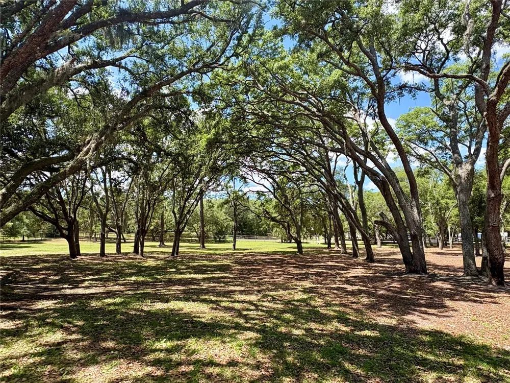 390 FOOTHILL FARMS ROAD Orange City, FL 32763
