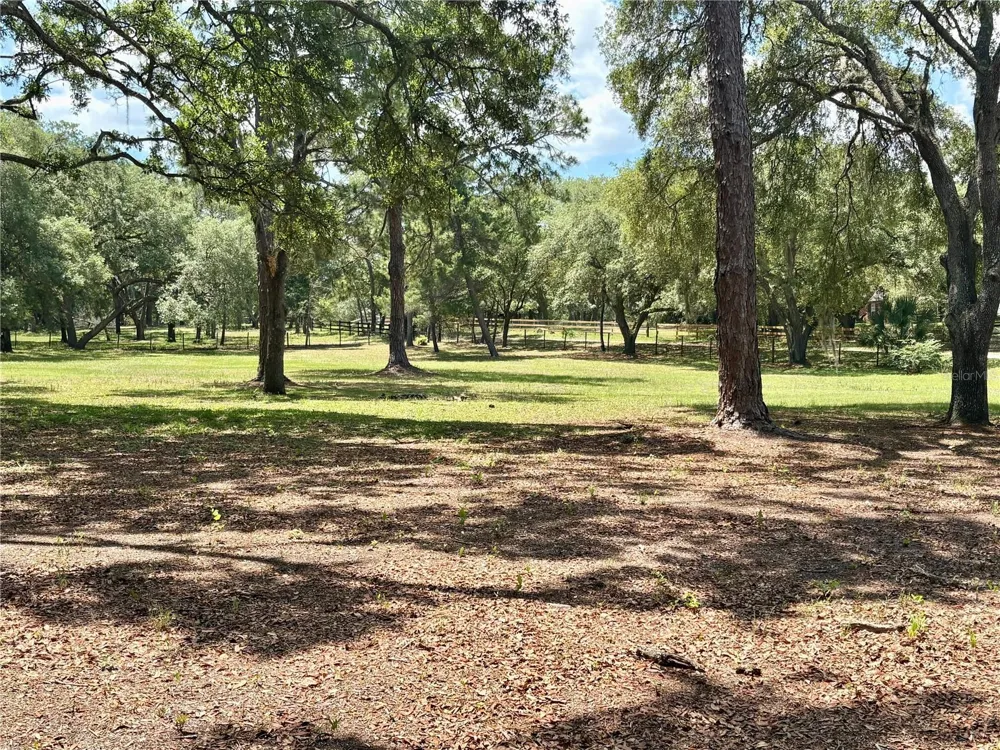 390 FOOTHILL FARMS ROAD Orange City, FL 32763