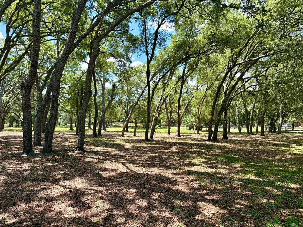 390 FOOTHILL FARMS ROAD Orange City, FL 32763