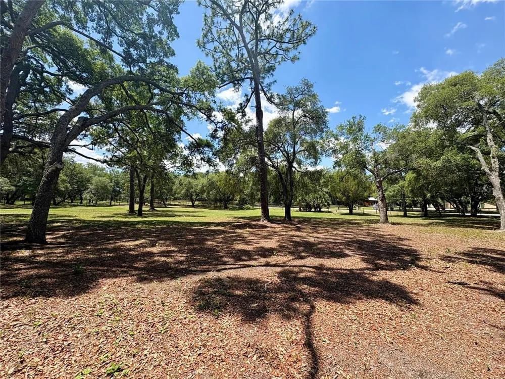 390 FOOTHILL FARMS ROAD Orange City, FL 32763