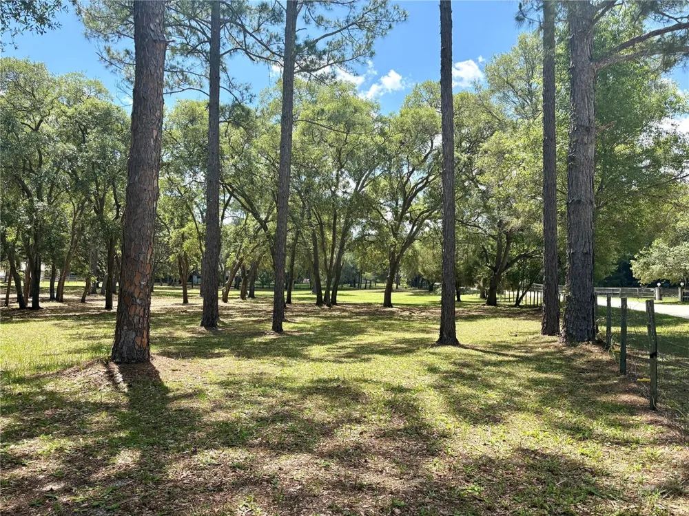 390 FOOTHILL FARMS ROAD Orange City, FL 32763
