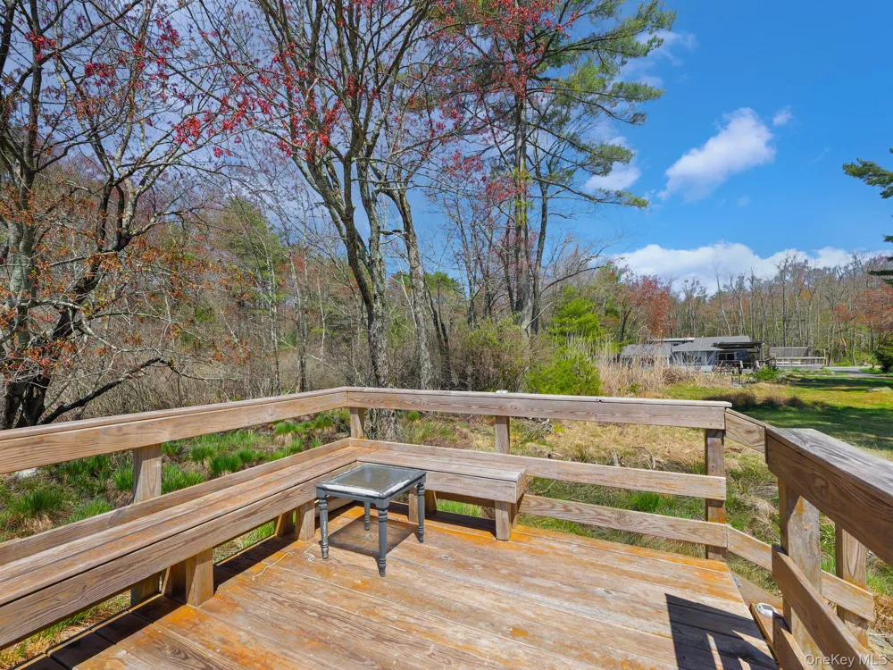 236 Lakeview Drive Road Highland Lake, NY 12743