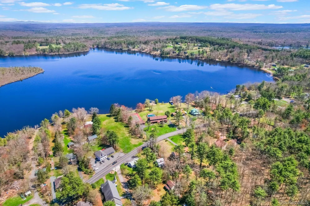 236 Lakeview Drive Road Highland Lake, NY 12743
