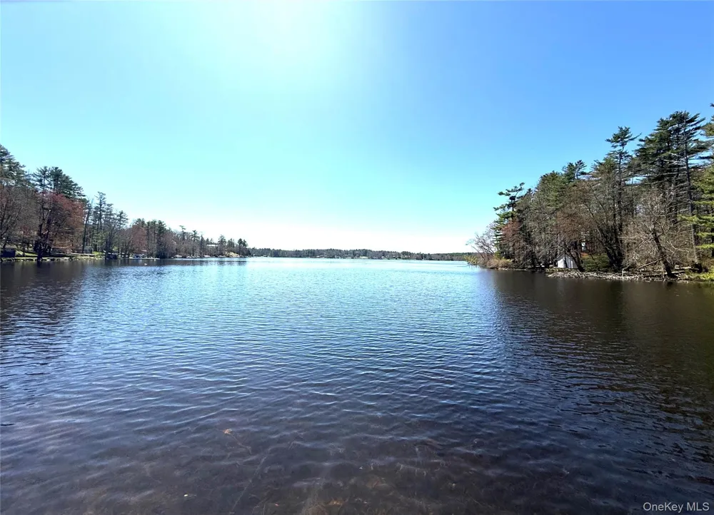236 Lakeview Drive Road Highland Lake, NY 12743