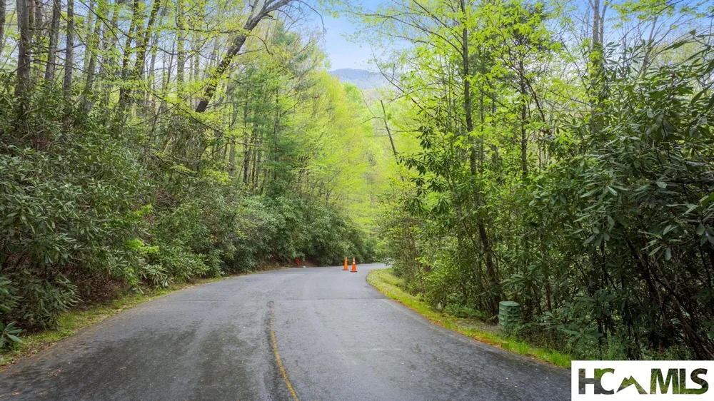 44 Holly Road Sapphire, NC 28774