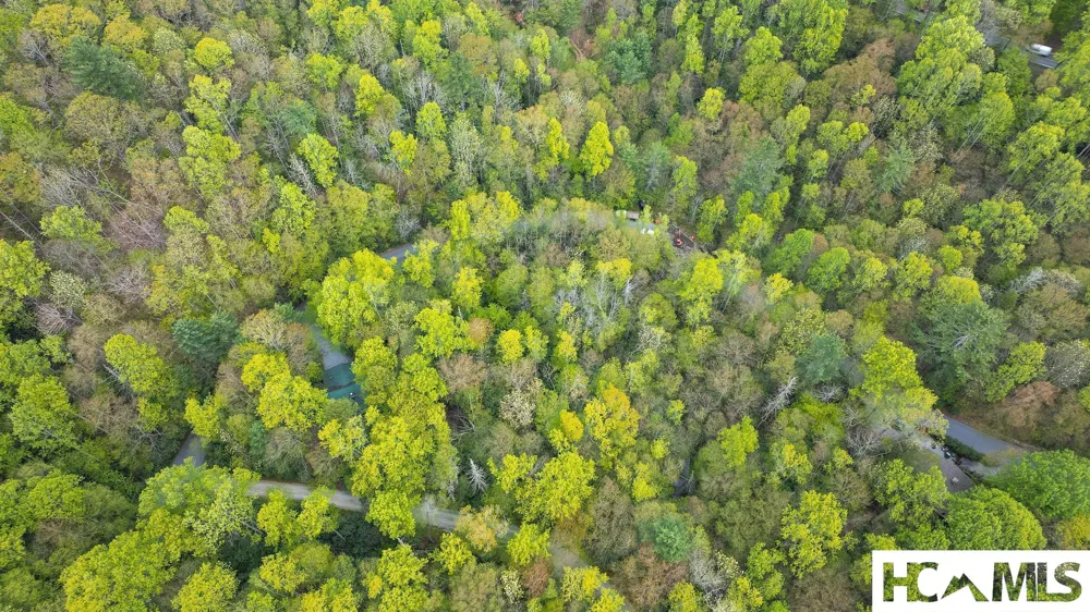 44 Holly Road Sapphire, NC 28774