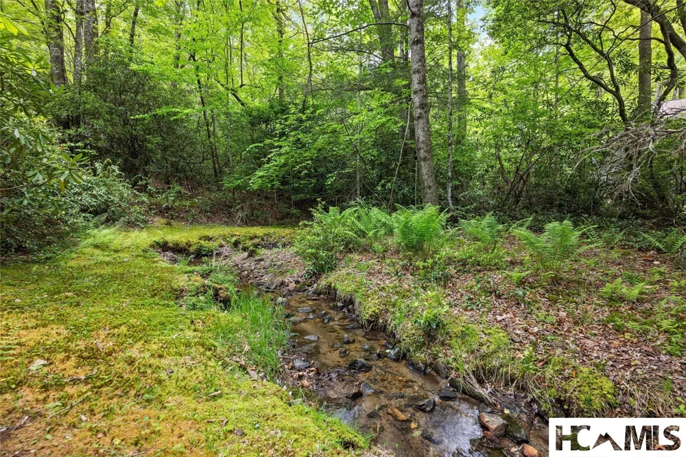 560 Toxaway Court Lake Toxaway, NC 28747