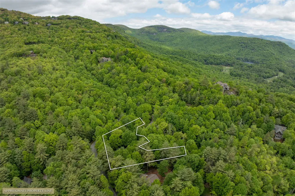 560 Toxaway Court Lake Toxaway, NC 28747