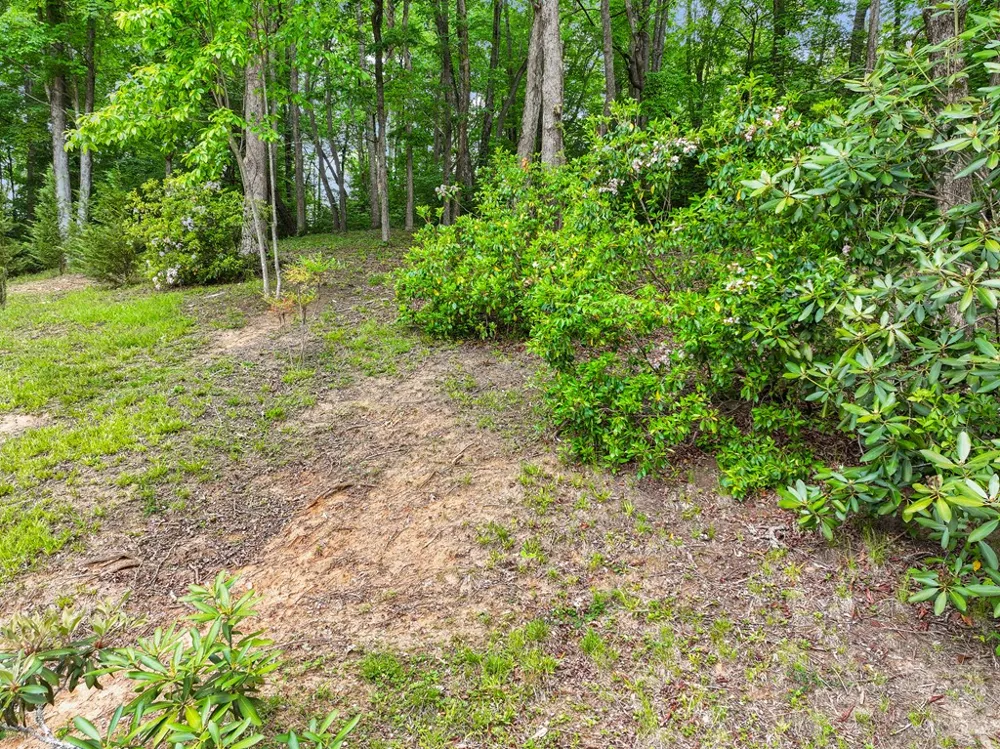Harris Circle Sylva, NC 28779