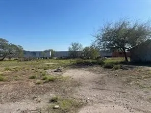 Highway 359 Orange Grove, TX 78372