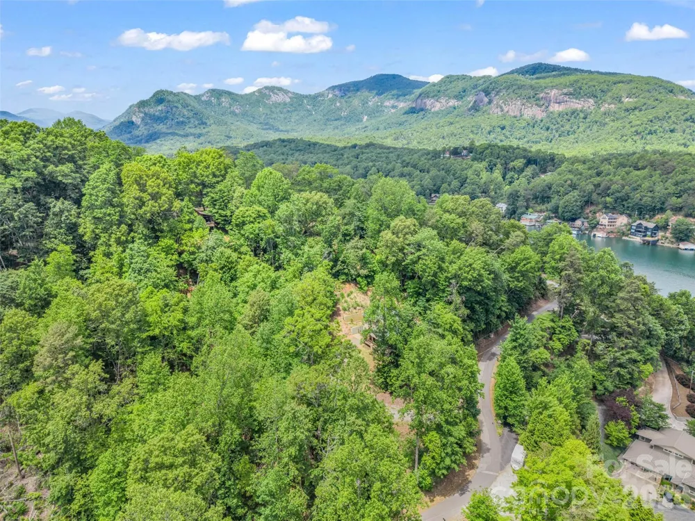 227 Snug Harbor Circle Lake Lure, NC 28746