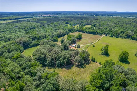 115 County Road 3302